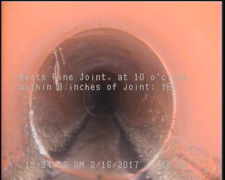 Roots Fine Joint, at 10 o'clock, within 8 inches of joint: YES
