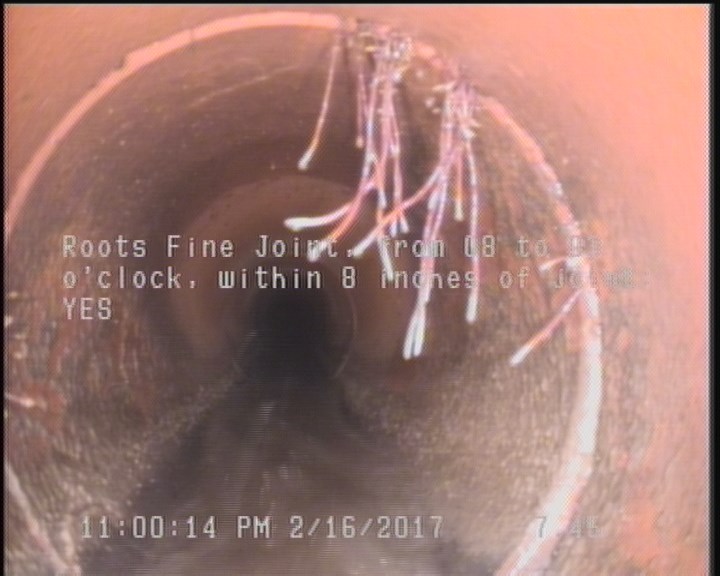 Roots Fine Joint, from 08 to 03 o'clock, within 8 inches of joint: YES