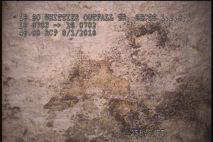 General Observation - PEELING AND FLAKING