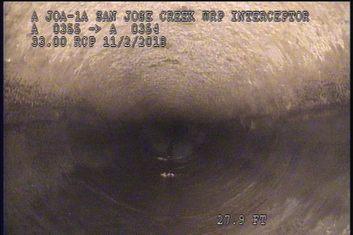 General Observation - MAG COAT 98% START