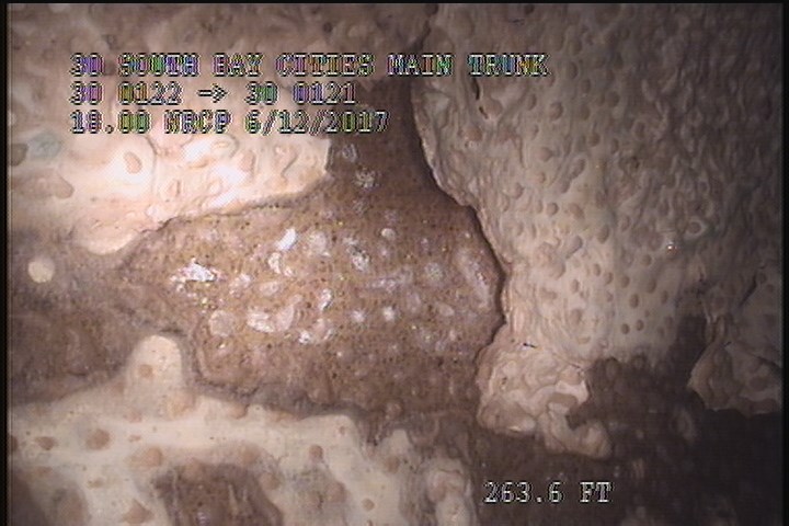 General Photograph - PEELING/FLAKING