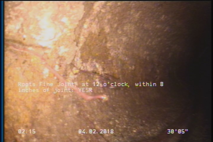 Roots Fine Joint, at 12 o'clock, within 8 inches of joint: YESR