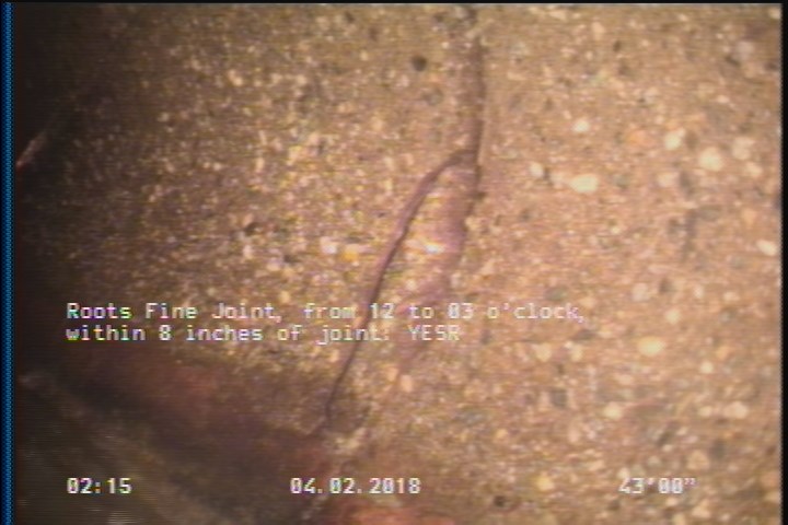 Roots Fine Joint, from 12 to 03 o'clock, within 8 inches of joint: YESR