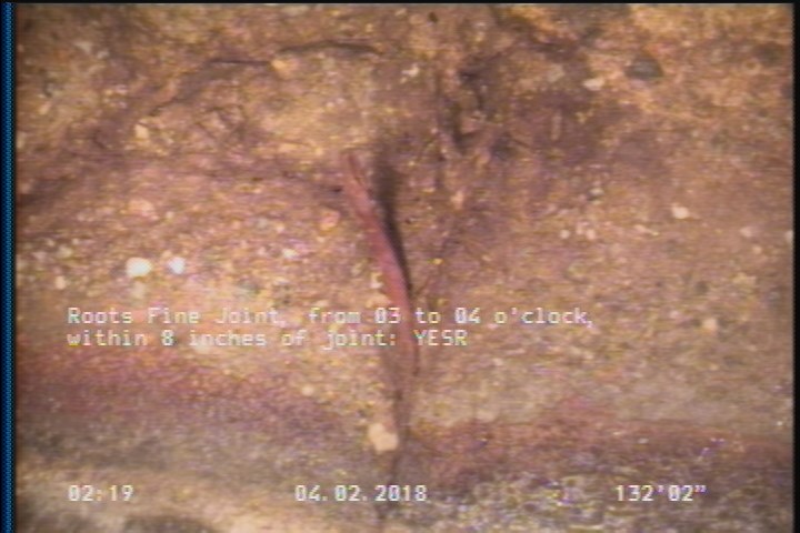Roots Fine Joint, from 03 to 04 o'clock, within 8 inches of joint: YESR