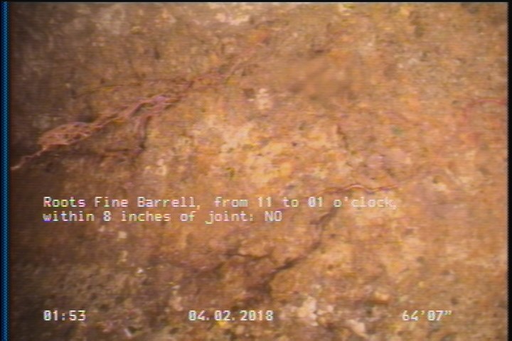 Roots Fine Barrell, from 11 to 01 o'clock, within 8 inches of joint: NO