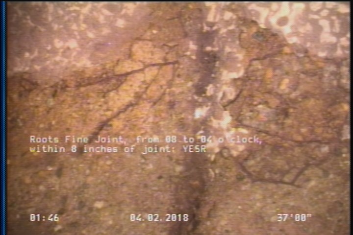 Roots Fine Joint, from 08 to 04 o'clock, within 8 inches of joint: YESR