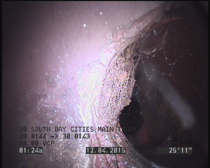 Roots Fine Lateral, at 10 o'clock