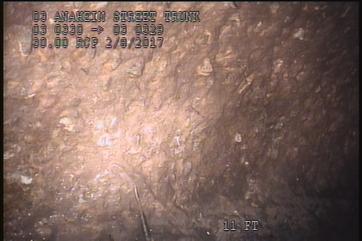 Surface Reinforcement Corroded, from 09 to 03 o'clock, within 8 inches of joint: YES, Start - CIRCUM & LONG REBAR