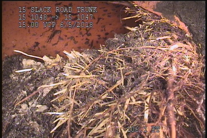 Roots Medium Lateral, from 01 to 06 o'clock, 30 %, within 8 inches of joint: YES