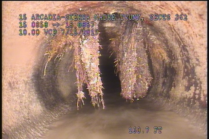 Roots Medium Lateral, from 11 to 02 o'clock, 20 %, within 8 inches of joint: YES