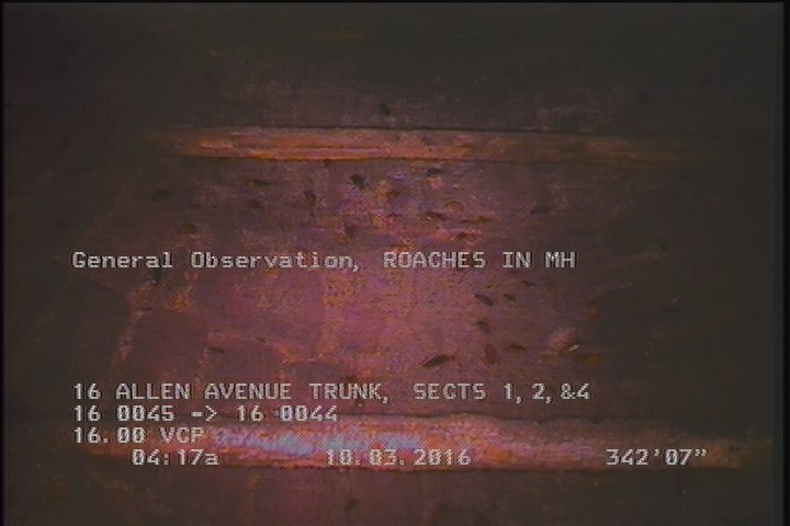 General Observation - ROACHES IN MH