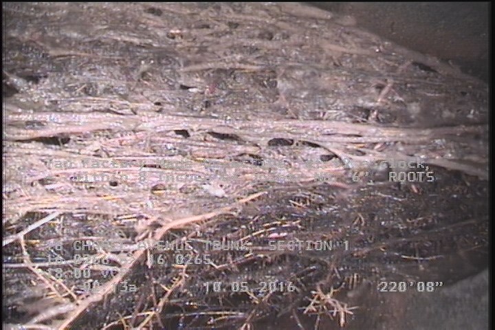 Tap Factory Made Defective, at 12 o'clock, -, within 8 inches of joint: NO, 6" - ROOTS