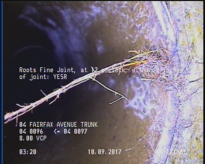 Roots Fine Joint, at 12 o'clock, within 8 inches of joint: YESR