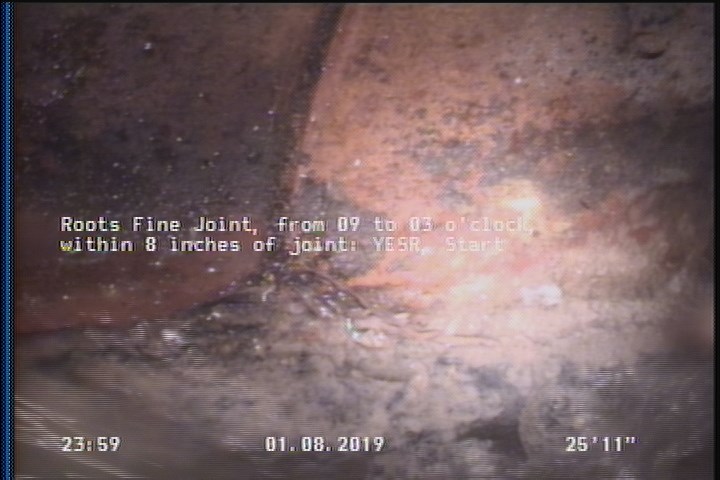 Roots Fine Joint, from 09 to 03 o'clock, within 8 inches of joint: YESR, Start