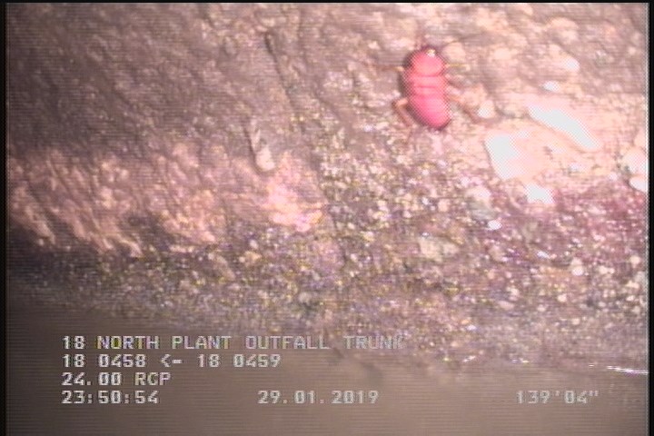 Surface Aggregate Projecting, from 09 to 03 o'clock, within 8 inches of joint: YES, Start