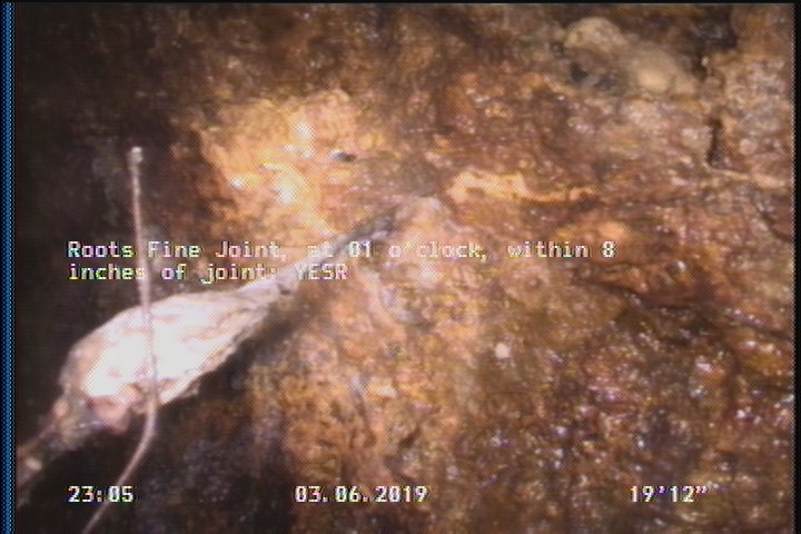 Roots Fine Joint, at 01 o'clock, within 8 inches of joint: YESR