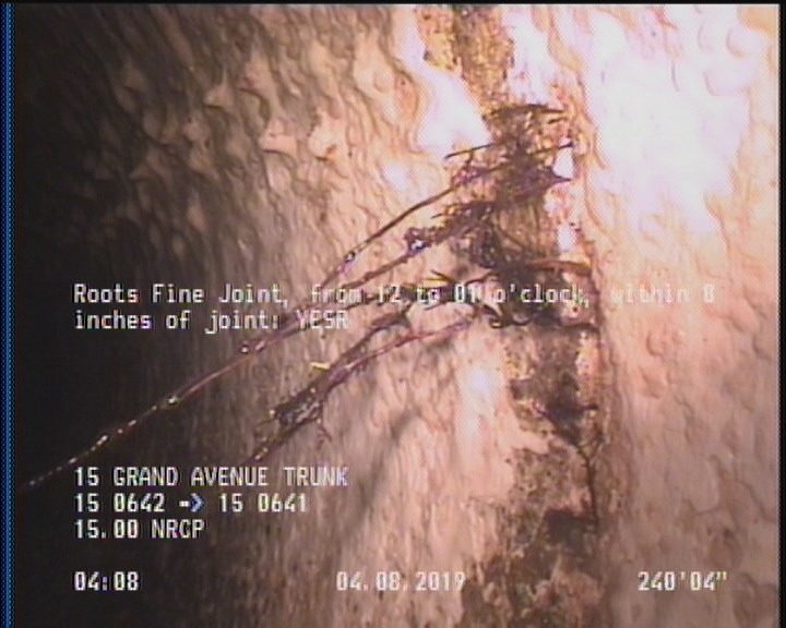 Roots Fine Joint, from 12 to 01 o'clock, within 8 inches of joint: YESR