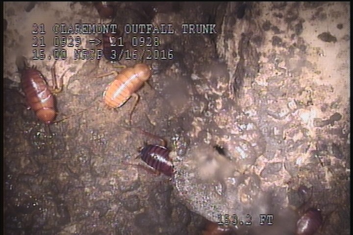 Surface Spalling, from 08 to 04 o'clock, within 8 inches of joint: NO, Start