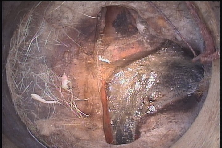 Downstream Manhole, Survey Begins - 9:06 AM
