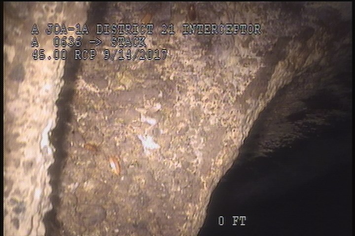 General Observation - NORTH WALL
