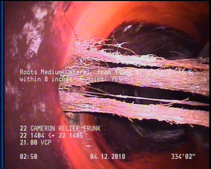 Roots Medium Lateral, from 11 to 01 o'clock, 15 %, within 8 inches of joint: YES