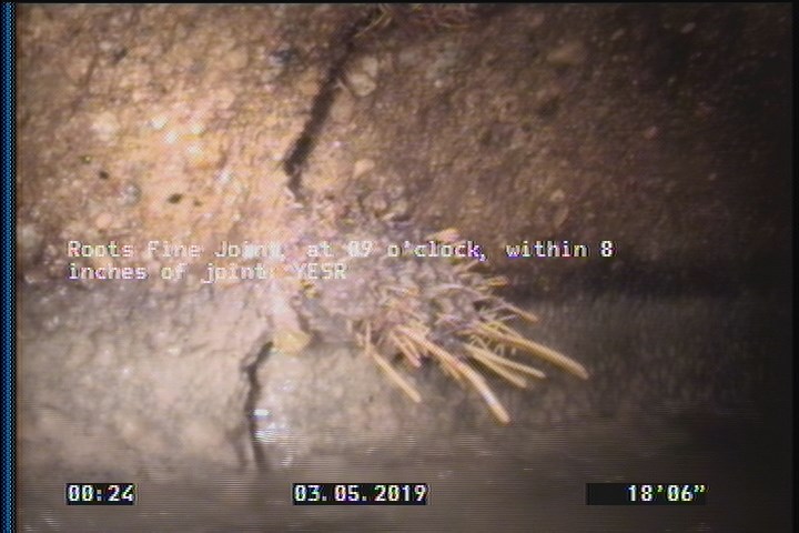 Roots Fine Joint, at 09 o'clock, within 8 inches of joint: YESR