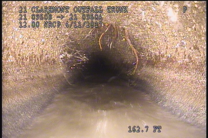Roots Medium Joint, from 08 to 04 o'clock, 20 %, within 8 inches of joint: YESR