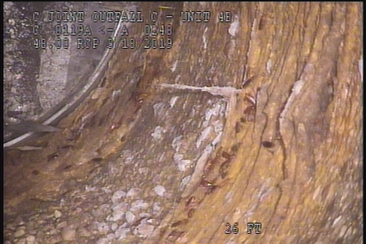 Surface Reinforcement Corroded, from 09 to 03 o'clock, within 8 inches of joint: NO - BROKEN CIRCUM REBAR