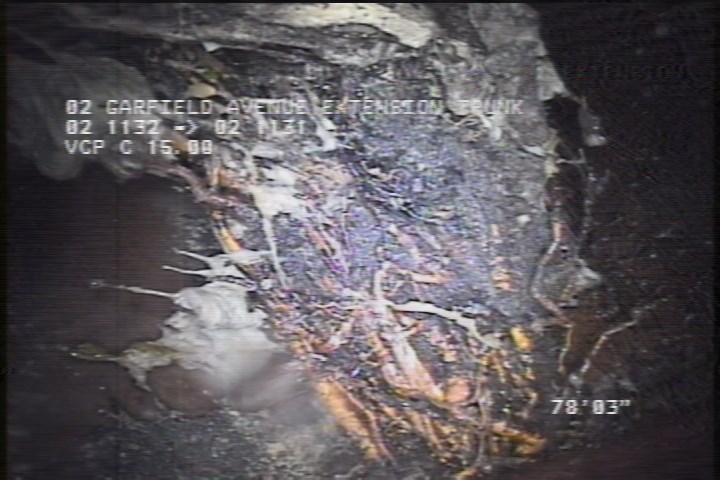 General Photograph - 25% ROOTS