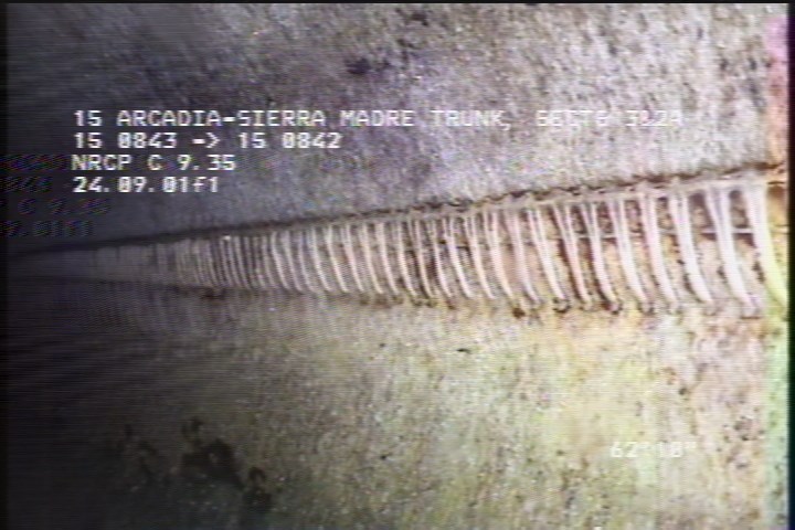 General Observation - LINER SEAM VISIBLE THROUGHOUT THE REACH, 12 TO 2 OCLOCK