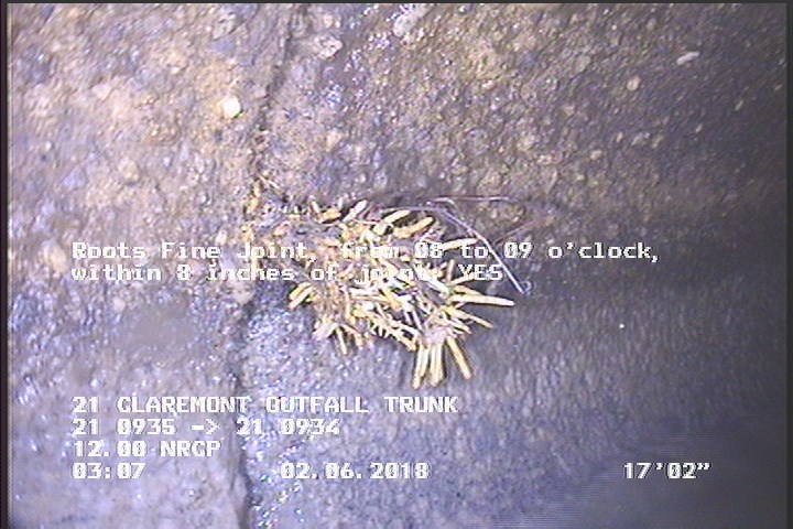 Roots Fine Joint, from 08 to 09 o'clock, within 8 inches of joint: YES