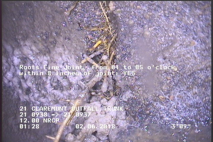 Roots Fine Joint, from 01 to 05 o'clock, within 8 inches of joint: YES