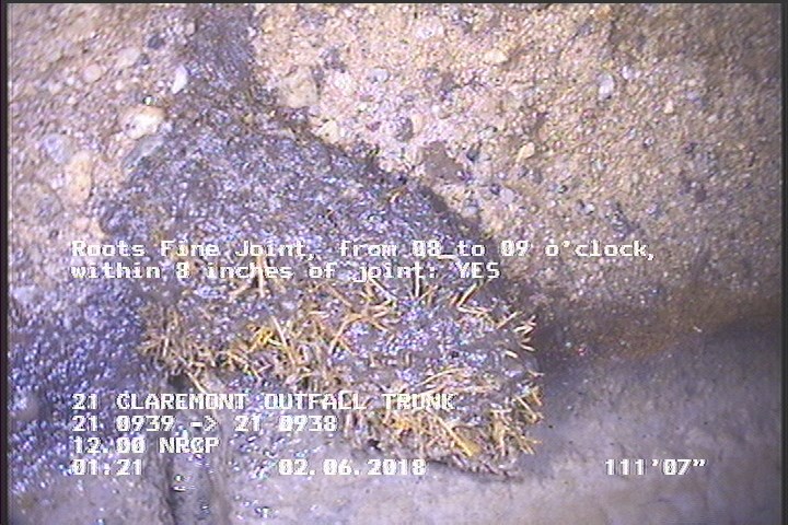 Roots Fine Joint, from 08 to 09 o'clock, within 8 inches of joint: YES