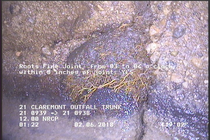 Roots Fine Joint, from 03 to 04 o'clock, within 8 inches of joint: YES