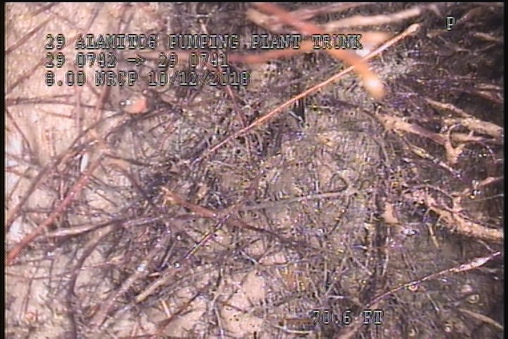 Roots Fine Joint, from 09 to 03 o'clock, within 8 inches of joint: YESR - 15%