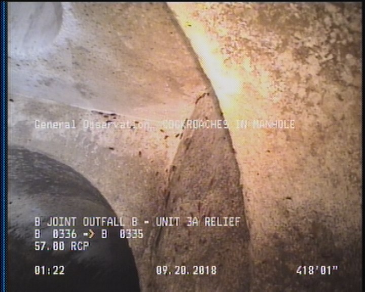 General Observation - COCKROACHES IN MANHOLE