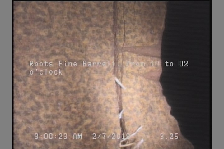 Roots Fine Barrell, from 10 to 02 o'clock
