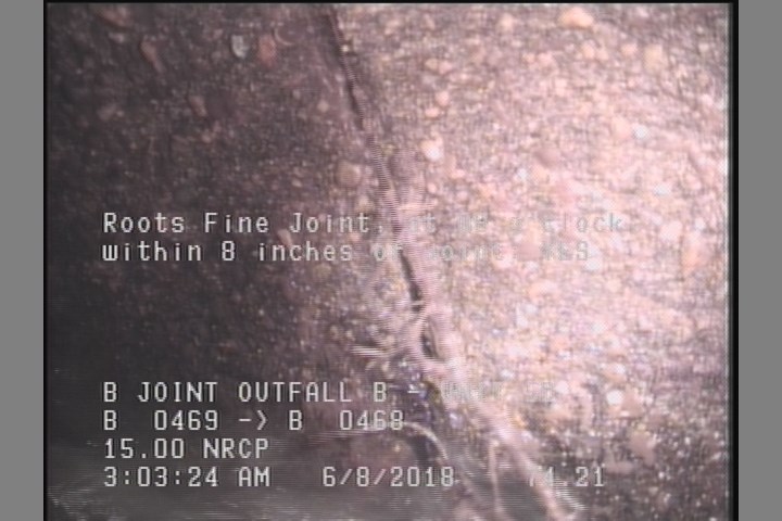 Roots Fine Joint, at 08 o'clock, within 8 inches of joint: YES