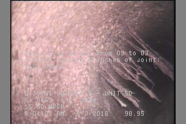 Roots Fine Joint, from 09 to 03 o'clock, within 8 inches of joint: YES, Start