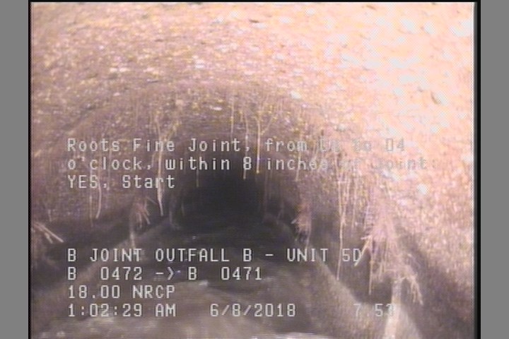 Roots Fine Joint, from 08 to 04 o'clock, within 8 inches of joint: YES, Start
