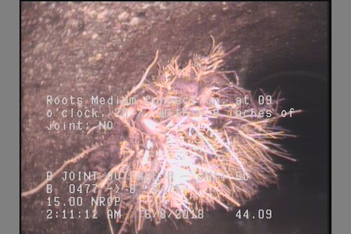 Roots Medium Connection, at 09 o'clock, 20 %, within 8 inches of joint: NO