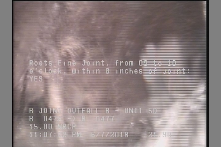 Roots Fine Joint, from 09 to 10 o'clock, within 8 inches of joint: YES