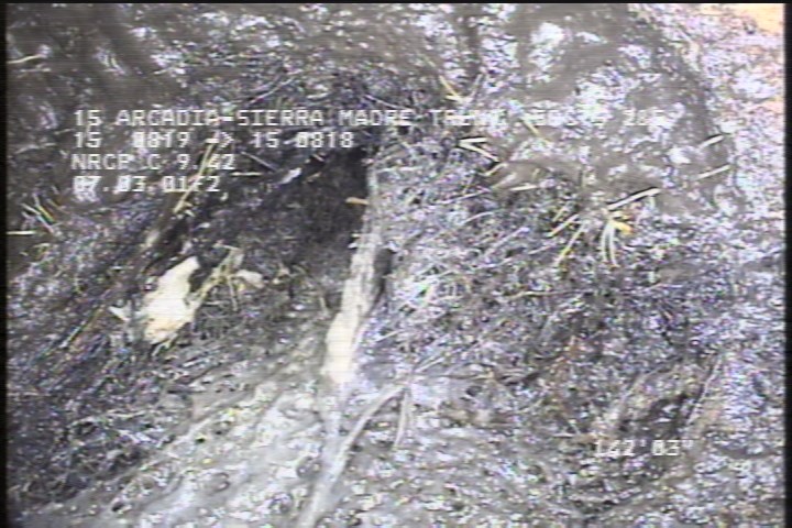Roots Fine Connection, at 02 o'clock, within 8 inches of joint: NO