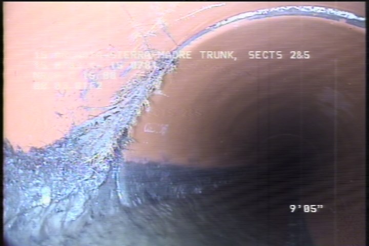 Roots Fine Joint, at 10 o'clock, within 8 inches of joint: YESR