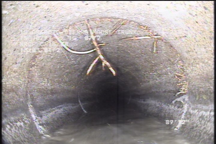 Roots Fine Joint, from 11 to 03 o'clock, within 8 inches of joint: YESR
