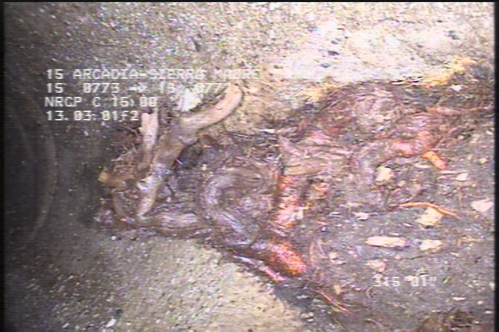 Roots Medium Connection, at 01 o'clock, 5 %, within 8 inches of joint: YES