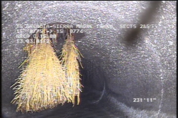 Roots Medium Connection, at 11 o'clock, 25 %, within 8 inches of joint: YES