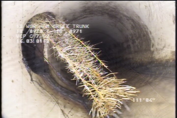 Roots Fine Connection, at 11 o'clock, within 8 inches of joint: NO - 5%
