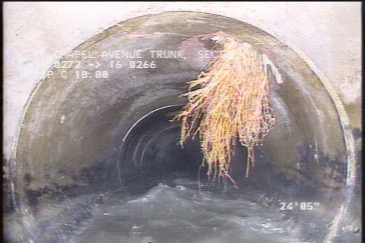 Roots Medium Lateral, from 01 to 04 o'clock, 10 %, within 8 inches of joint: YES