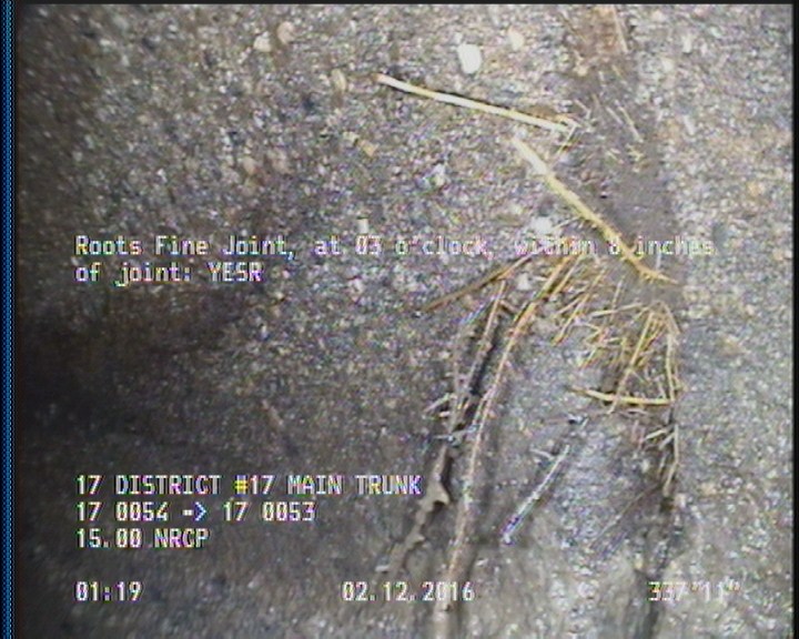 Roots Fine Joint, at 03 o'clock, within 8 inches of joint: YESR